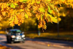 Pogoda mile zaskoczy. Błękit nieba i wysokie temperatury w weekend