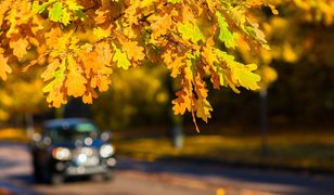 Pogoda mile zaskoczy. Błękit nieba i wysokie temperatury w weekend