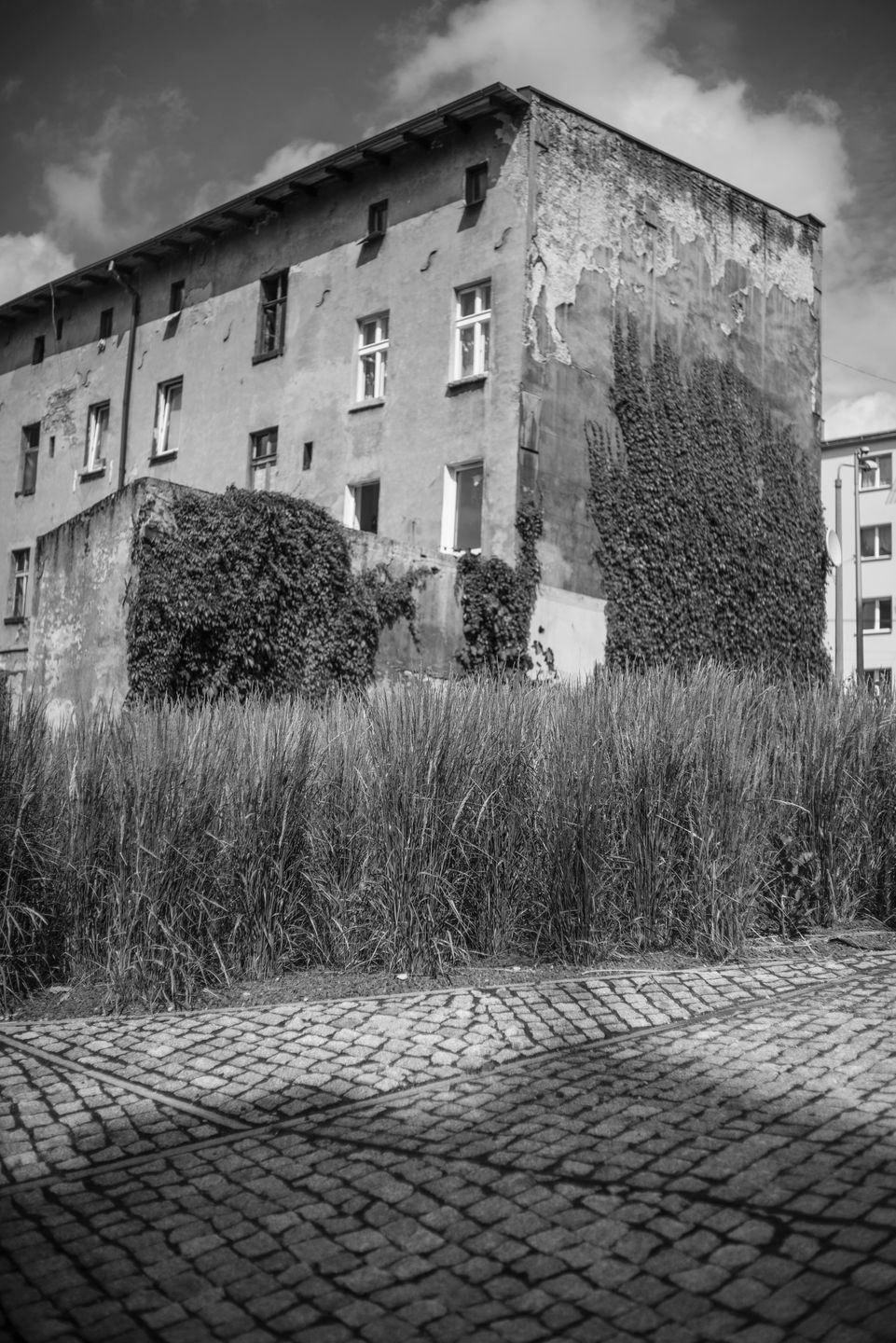 Leica 35 mm f/1.4 Summilux-M ASPH - w poszukiwaniu mitycznej jakości obrazu [recenzja] 16