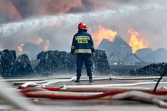 Rząd na wojnie z mafią śmieciową. Nowy człowiek do walki z przestępczością środowiskową