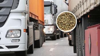Transport z Brazylii zatrzymany. To miało trafić do sprzedaży w Polsce