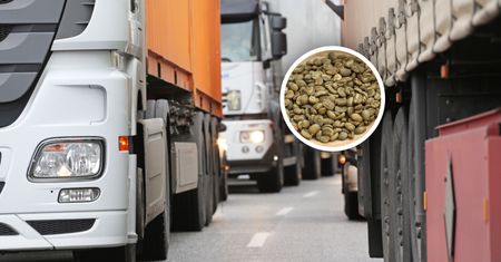 Transport z Brazylii zatrzymany. To było w środku. Odrażające odkrycie