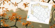 Dobre wieści w prognozie pogody? IMGW: Może się pojawić słońce, za którym tak tęskniliśmy