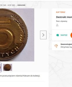 Pięciozłotówka może być warta 1000 zł. "Warto przejrzeć portfel"