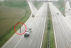 Słowacja. Jechał autostradą na hulajnodze. Zaskakujące tłumaczenie