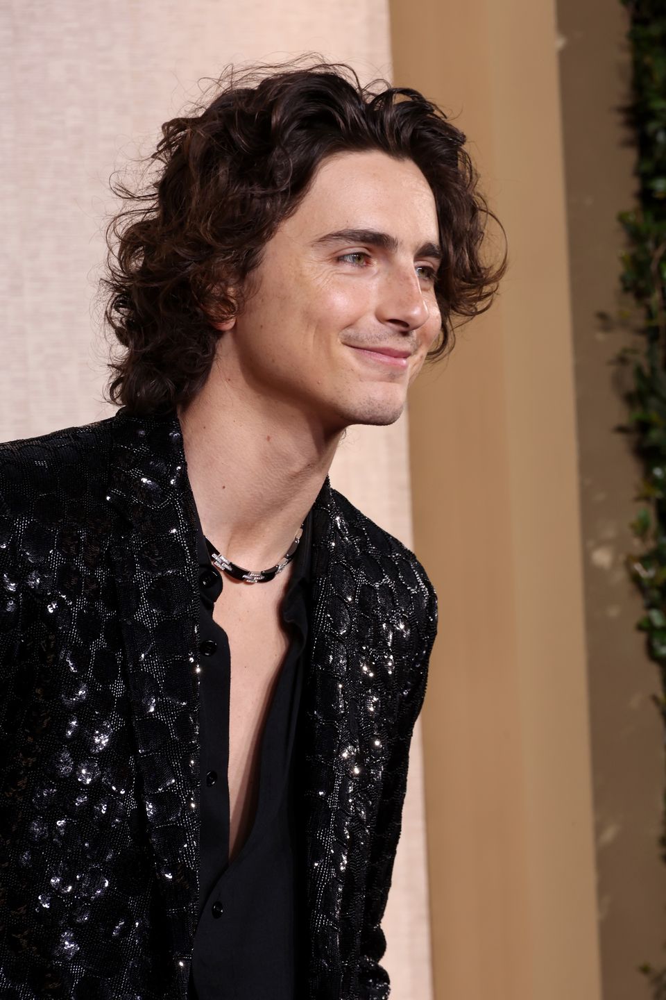 Timothee Chalamet na Złotych Globach