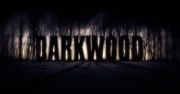 Darkwood: ciemny las, opuszczony dom, burza z piorunami... Od zwiastuna tej gry będziecie mieć ciary
