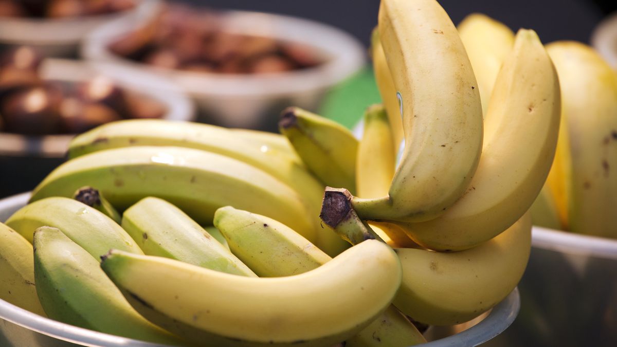 Pracownicy kilku sklepów podczas rozładunku bananów znaleźli paczki z białym proszkiem. Według nieoficjalnych informacji była to kokaina 