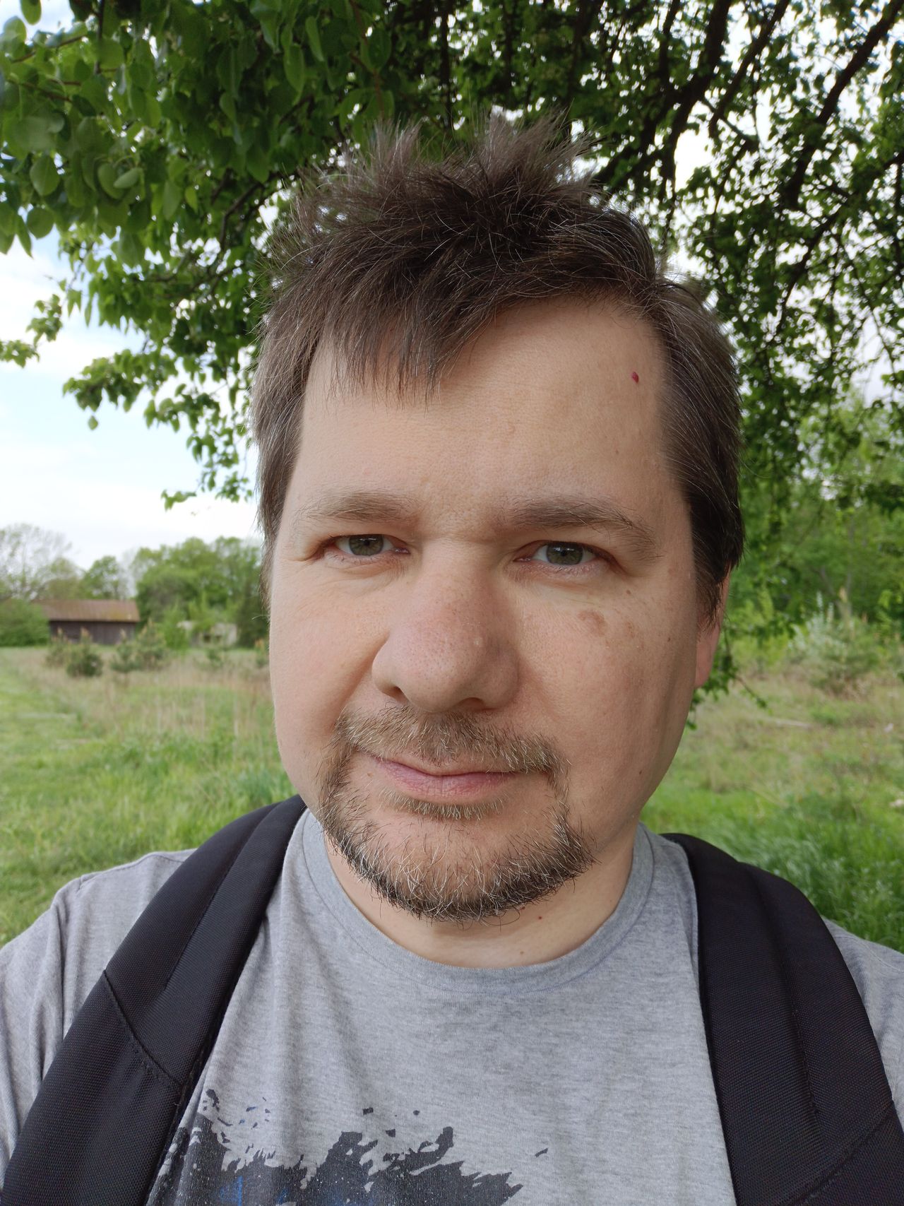 Obraz
