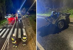 Zginęły cztery młode osoby. Apel służb