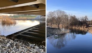 Najwyższy alert powodziowy dla północy Wrocławia. Czerwony alarm