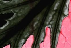 Kryminał w sam raz na raz