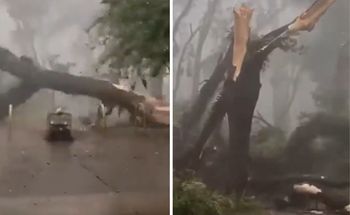 Sao Paulo po cyklonie: 1,3 mln osób bez prądu. Setki lotów odwołanych