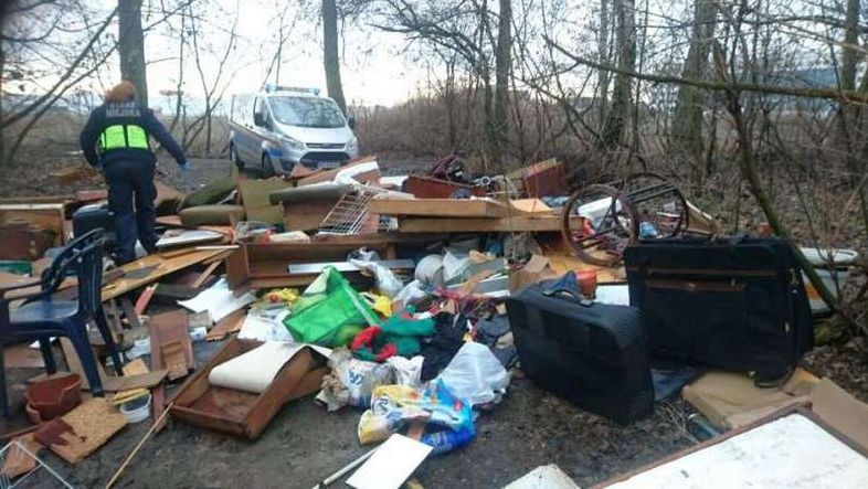 Warszawa. Lasy toną w śmieciach 