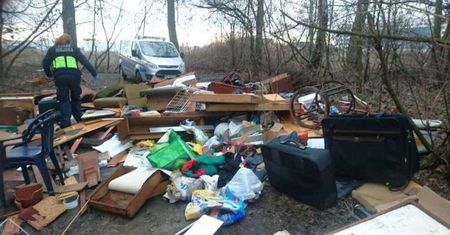 Warszawa. Tony śmieci w lasach. Ludzie zostawiają w nich wszystko