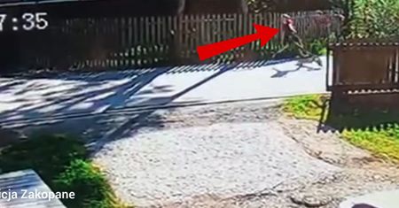 Boli od samego patrzenia. 11-latek nie miał kasku. Pokazali nagranie