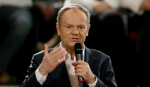 Tusk rozwścieczył PiS? "Jak to zobaczyli, wpadli w szał"