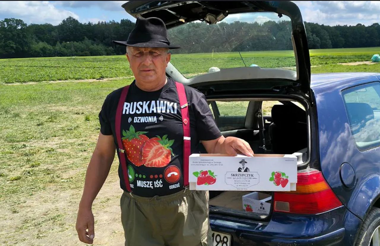 Zarabia na samozbiorach. Rolnik podsumował jednym zdaniem