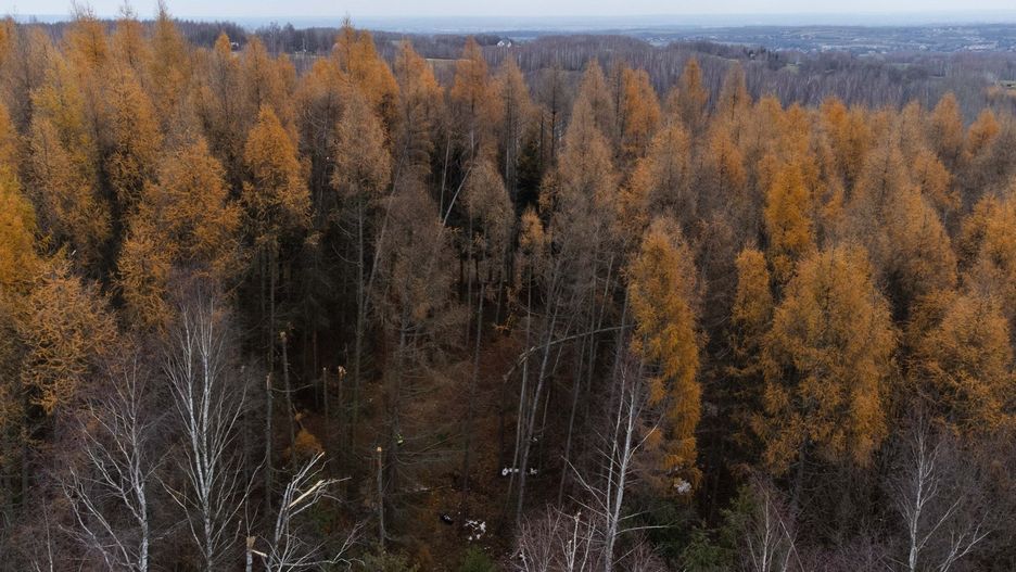 Trwa wyjaśnianie okoliczności tragedii w Cierpiszu