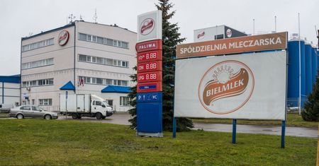 Upadłość SM Bielmlek. Rolnicy będą spłacać dług mleczarni