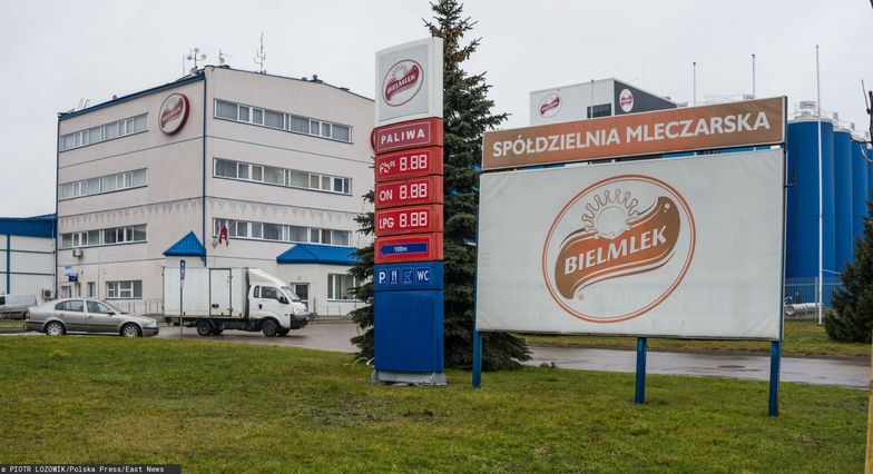 Bielmlek, zakłady 