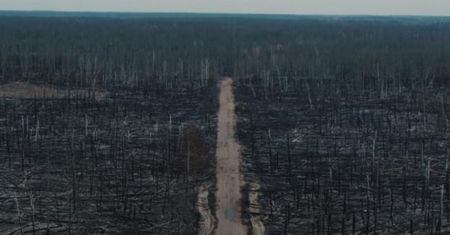 Apokaliptyczne sceny z Czarnobyla. Pokazali zdjęcia po pożarze w Zamkniętej Strefie