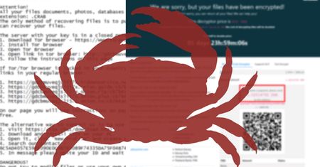 Twórcy ransomware zarobili miliony. Teraz odchodzą. Albo znowu oszukują