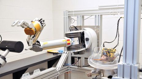 Małpi mózg kontroluje ramię robota [wideo] 1