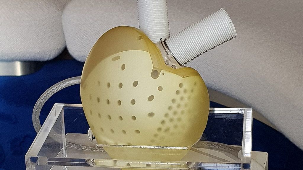 Klucz do nieśmiertelności? Naukowcy zdają się być bliżej rozwiązania 1