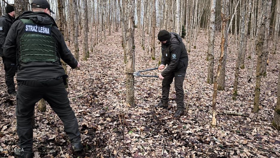 Strażnicy leśni w trakcie akcji "Kłusownik"