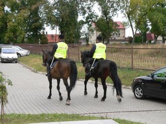 Samochód uderzył w wierzchowca