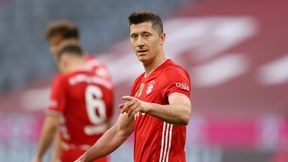 Co za słowa legendy Bayernu o Robercie Lewandowskim. Wskazuje, co czyni Polaka piłkarzem wyjątkowym