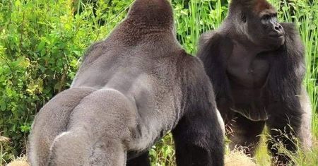 Pracownicy ZOO: Ręce nam opadają, a sezon dopiero przed nami