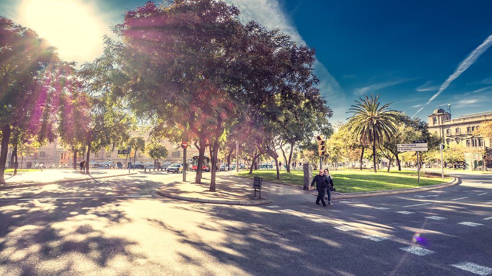 Color Efex - usprawnienie codziennej pracy [wideoporadnik] 1