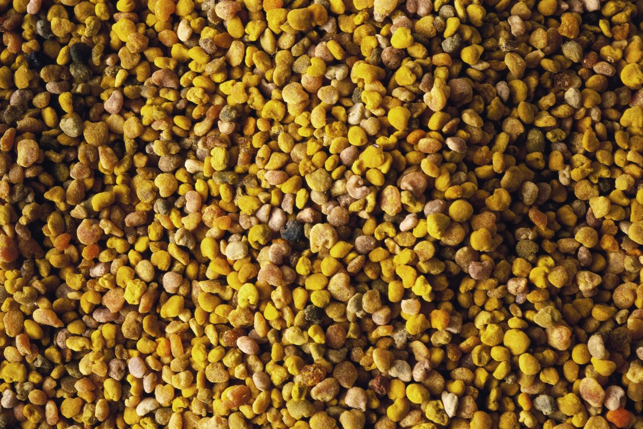 Fenugreek is one of the ingredients in curry, it is responsible for increased libido.