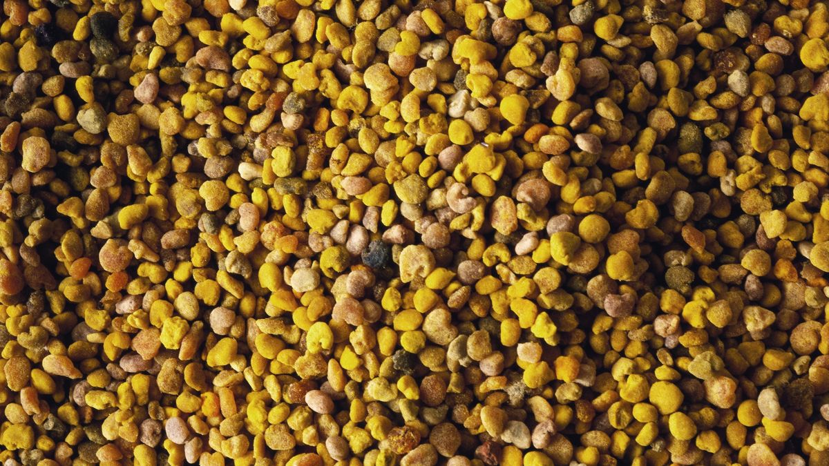 Kozieradka jest jednym ze składników curry