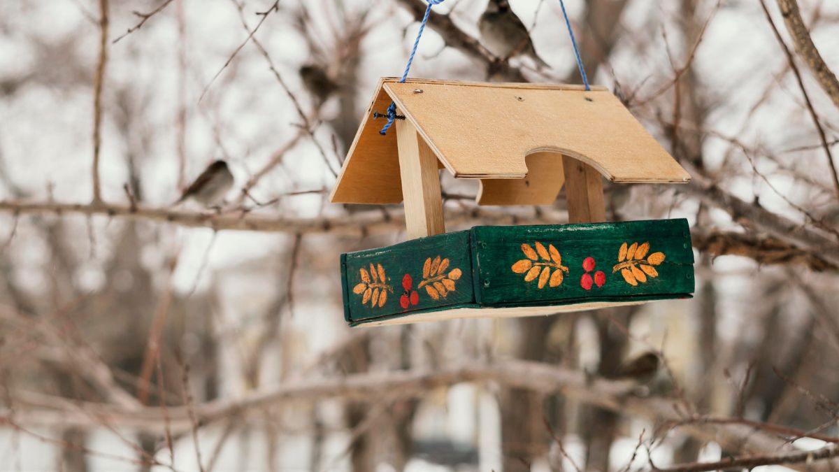 Jak powinien wyglądać karmnik dla ptaków?