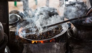 60 proc. gatunków kawy jest zagrożone. Odczują to nasze podniebienia i portfele
