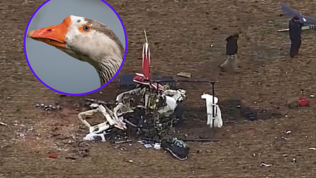 Przyczyna katastrofy wciąż nie została ustalona