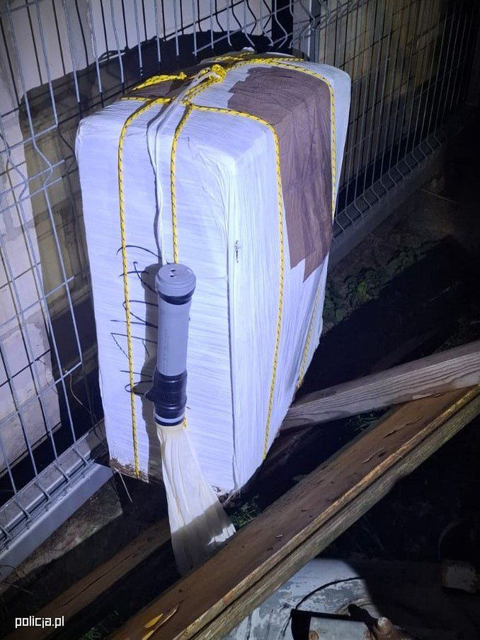 Taki pakunek dotarł do Polski.