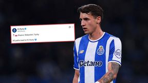 Szaleją na punkcie Polaków. Te słowa mówią wszystko