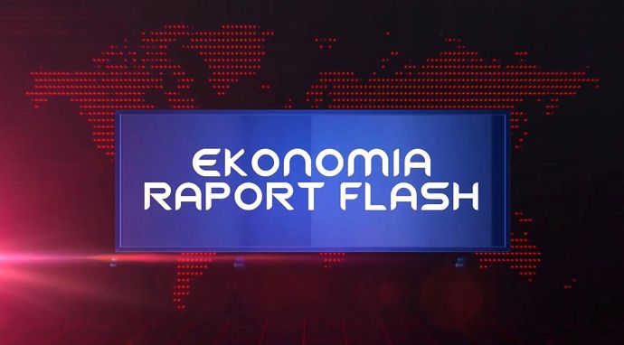 Ekonomia raport - flash