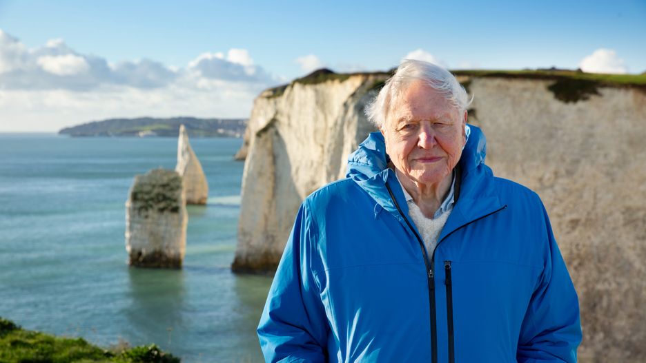 David Attenborough u południowych wybrzeży Anglii
