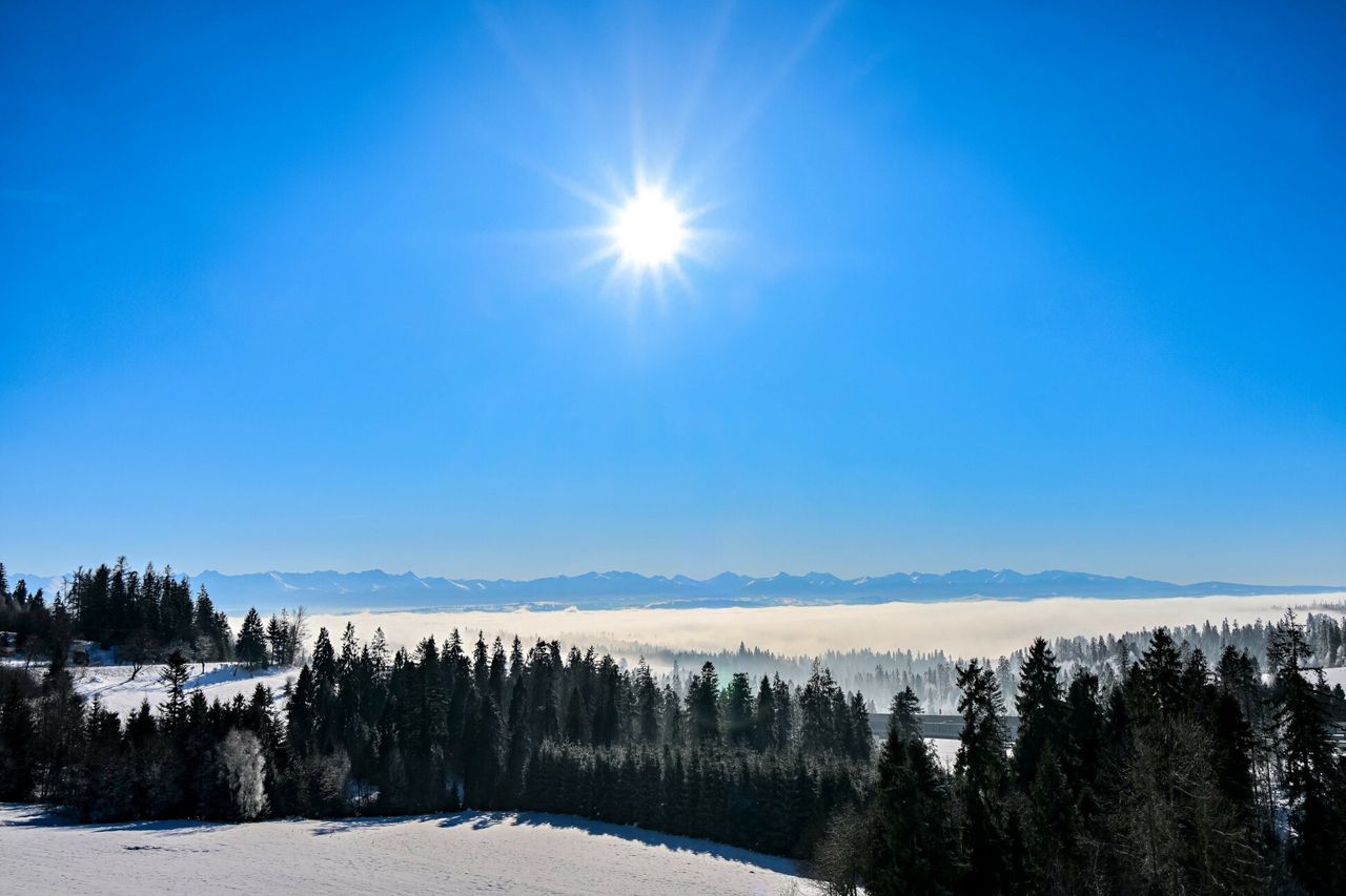 Mróz w Polsce. Najcieplej w Zakopanem