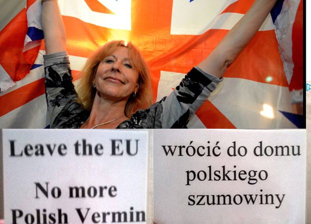 Zwolennicy Brexit do polskich emigrantów: "Wrócić do domu polskie szumowiny"