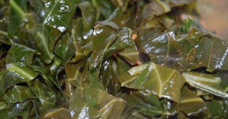 Gotowana mrożona krojona kapusta pastewna z dodatkiem soli, odsączona