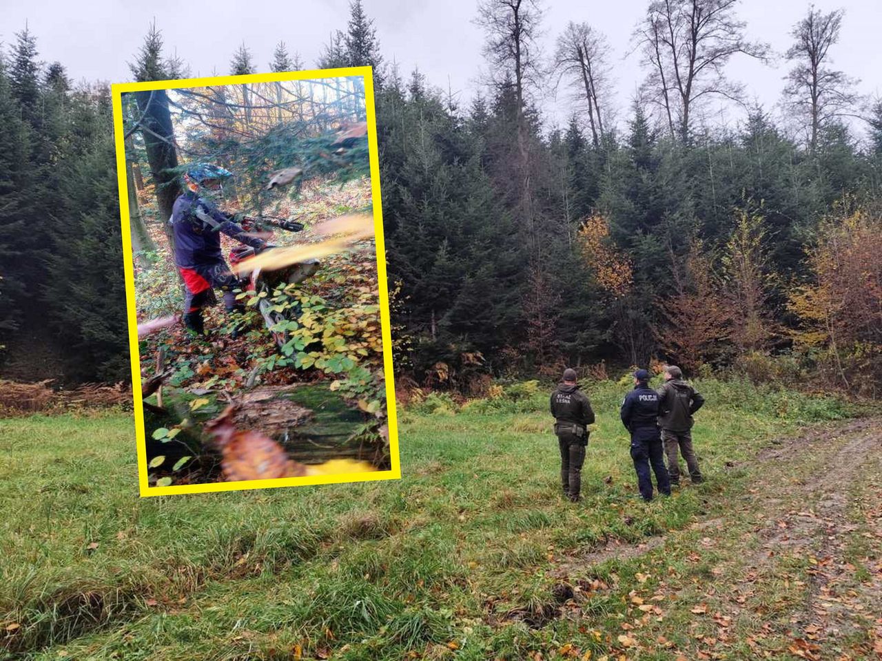 Nielegalny rajd po lesie. Surowy mandat dla crossowca