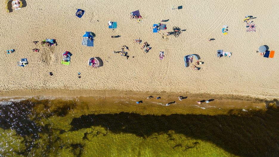 Molo i plaża w Gdańsku