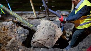 Warszawa: Setki nowych drzew w centrum. Tak zmienia się miasto