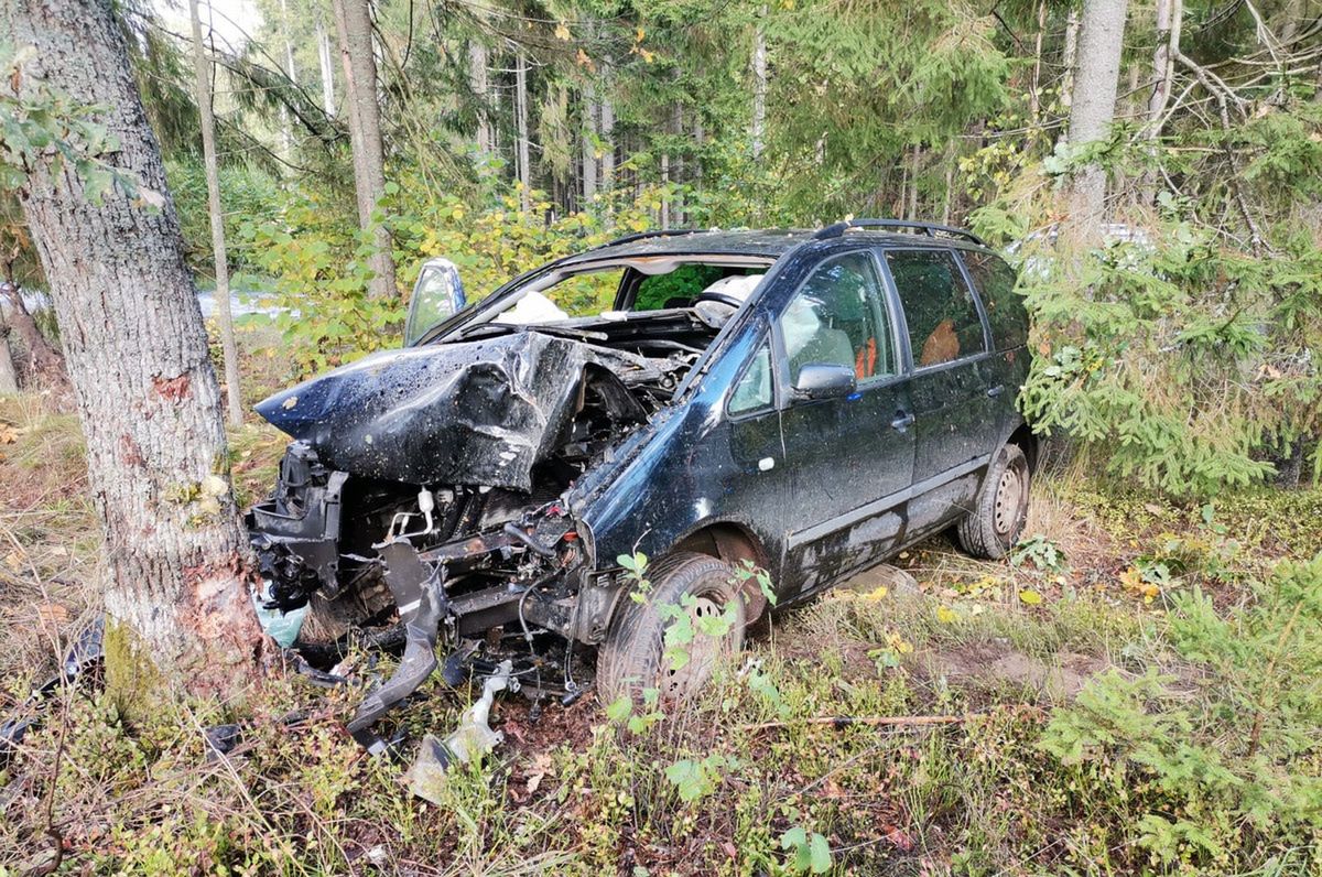 Auto wypadło z drogi. 72-letni kierowca zginął na miejscu